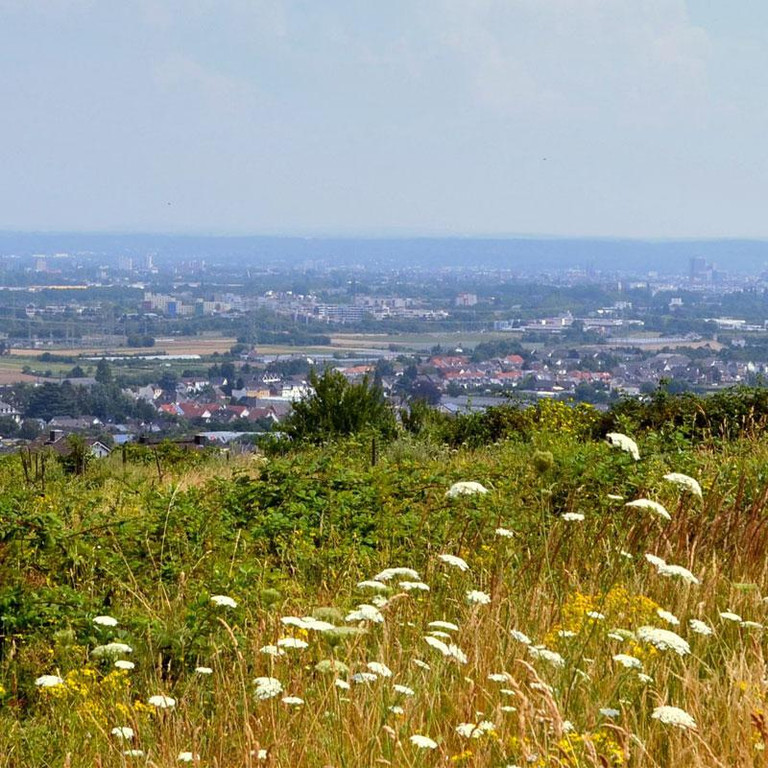 Stadt Bornheim Referenz by PPW