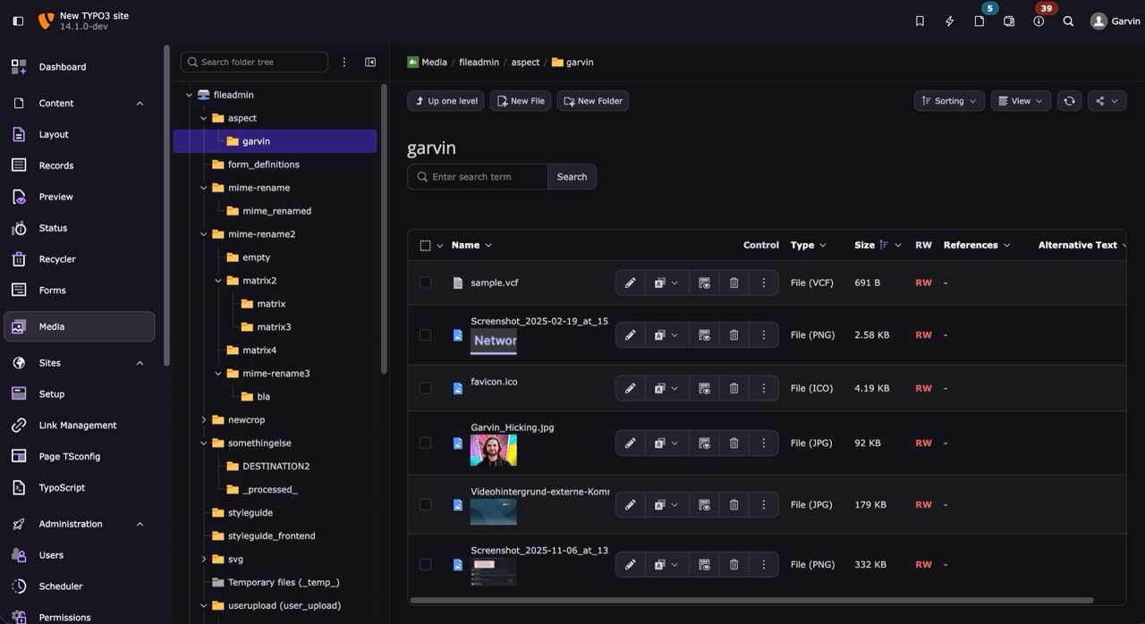 Neue Icons Screenshot TYPO3