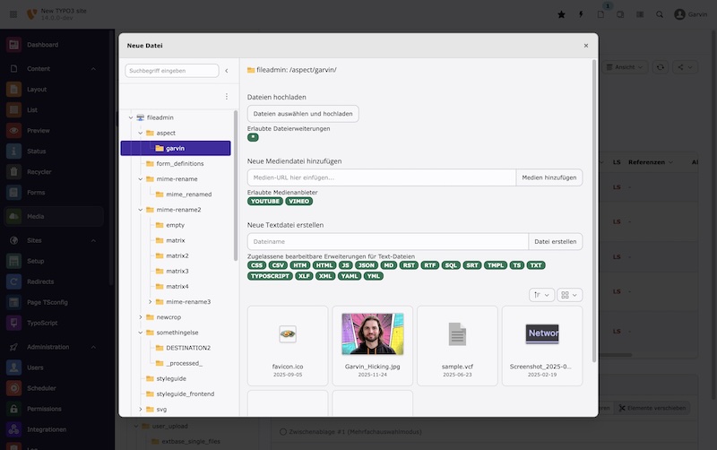 Das Popup zum Ersetzen von Dateien/Bildern mit neu hochgeladenen Inhalten wurde neu implementiert und modernisiert Screenshot TYPO3