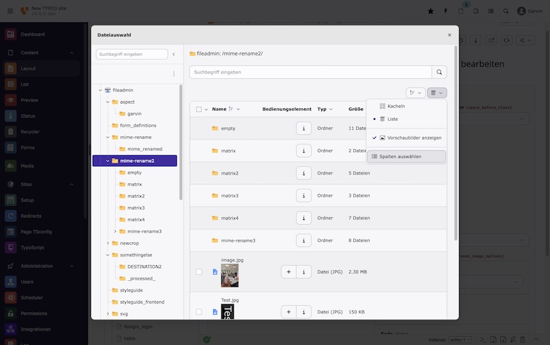 Die Popups für die Element/Seiten/Datei-Auswahl unterstützen nun die Auswahl von gewünschten Spalten, ähnlich wie im regulären Dateilisten-Modul Screenshot TYPO3