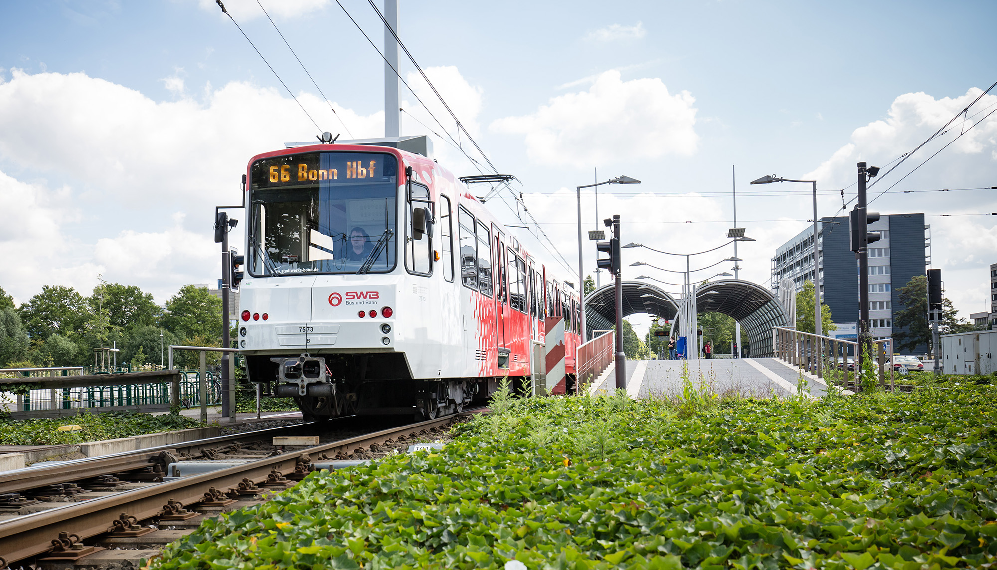 Die rot-weiße Straßenbahn mit der Aufschrift 66 Bonn Hbf fährt in eine moderne Außenstation mit Grünflächen im Vordergrund ein.