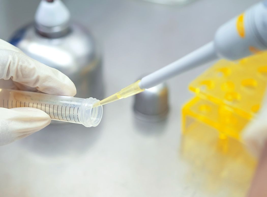 Mit Handschuhen behandelte Hände, die eine Pipette benutzen, um Flüssigkeit in ein Laborreagenzglas auf einer Werkbank zu übertragen.