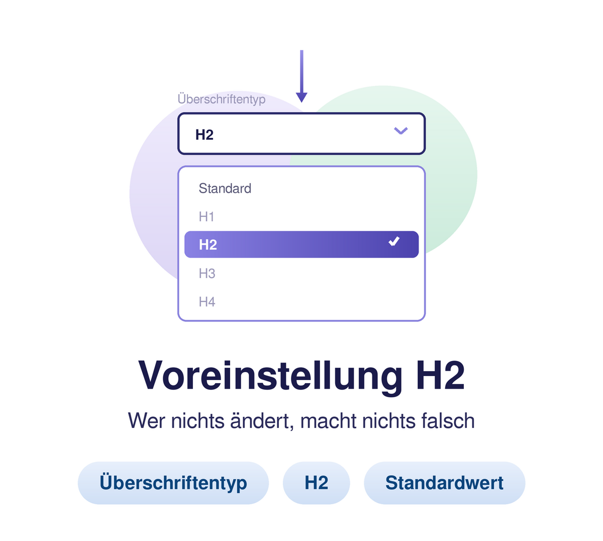 Dropdown-Menü: H2 ausgewählt. Titel: Voreinstellung H2. Text: Wer nichts ändert, macht nichts falsch.
